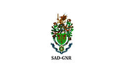 SAD GNR